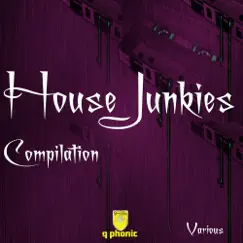 House Junkies by Various Artists album reviews, ratings, credits