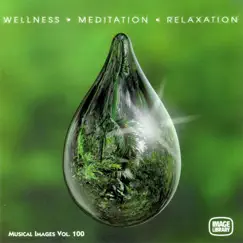 Wellness Meditation Relaxation: Musical Images, Vol. 100 by Sambodhi Prem album reviews, ratings, credits