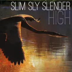 High by Slim Sly Slender album reviews, ratings, credits