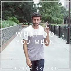 What Do You Mean? Song Lyrics