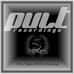 Five Years Pult Recordings by John Evexc, Ingo Schaefer & Rani album reviews, ratings, credits