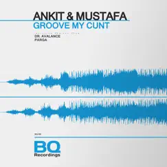 Groove My C**t - Single by Ankit & Mustafa album reviews, ratings, credits
