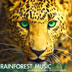 Rainforest Music - Soothing Lullabies for Relaxation, Relaxing Sounds of Nature Background by Rainforest Music Lullabies Ensemble album reviews, ratings, credits