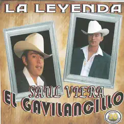 20 Éxitos la Leyenda by Saul Viera El Gavilancillo album reviews, ratings, credits