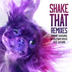 Shake That (feat. DJ Funk) [Leon Vice Remix] Song Lyrics