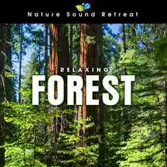 Relaxing Forest Meditation with Birds and Wind by Nature Sound Retreat album reviews, ratings, credits