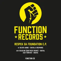Function035 - Single by Digital & Response album reviews, ratings, credits