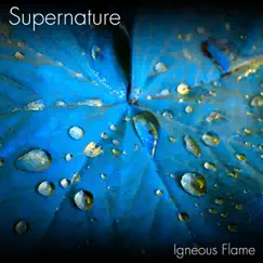 Supernature - EP by Igneous Flame album reviews, ratings, credits