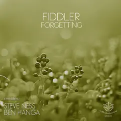 Forgetting by Fiddler album reviews, ratings, credits