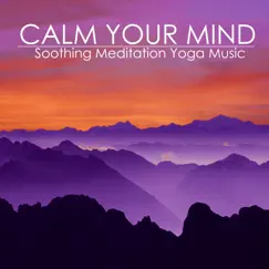 Calm Your Mind - Soothing Meditation Yoga Music for Relaxation Techniques by Calm Music Ensemble album reviews, ratings, credits
