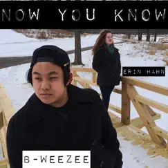 Now You Know (feat. Erin Hahn) - Single by B-WeeZee album reviews, ratings, credits
