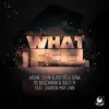 What I Feel (feat. Sharon May Linn) album lyrics, reviews, download