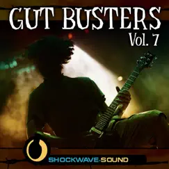 Gut Busters, Vol. 7 by Shockwave-Sound album reviews, ratings, credits