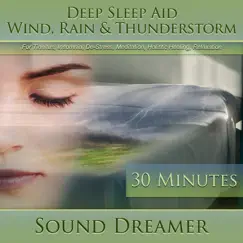 Wind, Rain & Thunderstorm (Deep Sleep Aid) [For Tinnitus, Insomnia, De-Stress, Meditation, Holistic Healing, Relaxation] [30 Minutes] by Sound Dreamer album reviews, ratings, credits