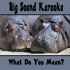 What Do You Mean? (Backing Track) - Single by Big Sound Karaoke album reviews, ratings, credits