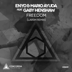 Freedom (LarsM Remix) [feat. Gaby Henshaw] Song Lyrics