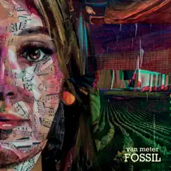 Fossil by Van Meter album reviews, ratings, credits
