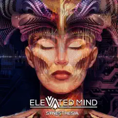 Synesthesia - EP by Elevated Mind album reviews, ratings, credits