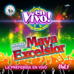 La Preferida en Vivo Vol. 1: Música de Guatemala para los Latinos (En Vivo) by Marimba Orquesta Maya Excelsior album reviews, ratings, credits
