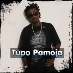 Tupo Pamoja Song Lyrics