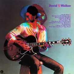 David T. Walker by David T. Walker album reviews, ratings, credits
