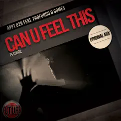 Can U Feel This (feat. Profundo & Gomes) Song Lyrics