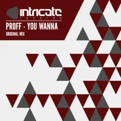 You Wanna - Single by PROFF album reviews, ratings, credits