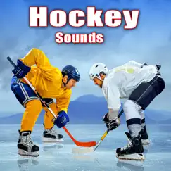Ice Hockey Player Skating, Approaching & Stopping Song Lyrics