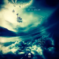 Pieces of a Dream (Blufeld Remix) Song Lyrics