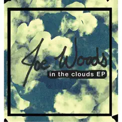 In the Clouds (feat. Jeannie Pawlicki, Chris Shutters, Frank May, Mahlon Orrin & Jason Goss) Song Lyrics