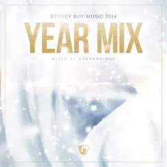 Stoney Boy Music 2014 Year Mix by StoneBridge album reviews, ratings, credits