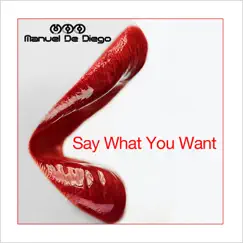 Say What You Want (Radio Mix) Song Lyrics