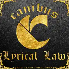 The Law of Five Mics (feat. Chino Xl, Flawless the MC & Chopp Devize) Song Lyrics