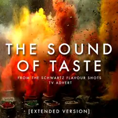 The Sound of Taste (From the Schwartz Flavour Shots TV Advert) [Extended Version] Song Lyrics