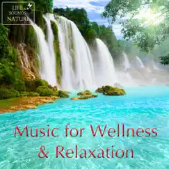 Music For Wellness and Relaxation (Sound for Relaxation, Meditation, Healing, Deep Sleep, Studying, Yoga) [Gemafreie Musik] by Life Sounds Nature album reviews, ratings, credits