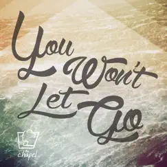 You Won't Let Go (feat. Daniel Doss) Song Lyrics