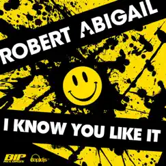 I Know You Like It (Original Extended Mix) Song Lyrics