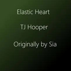 Elastic Heart Song Lyrics