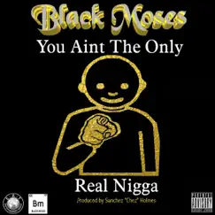 U Ain’t Tha Only Real Ni99a - Single by Black Moses album reviews, ratings, credits