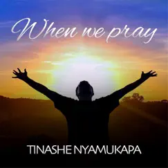 Ngaapihwe Mbiri (feat. Tendai Zhou) Song Lyrics