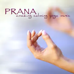 Prana (Water Sound - Cave) Song Lyrics