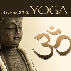 Namaste Yoga – Healing Zen Music for Yoga, Relaxation, Reiki, Tai Chi & Mindfulness Meditation by Yoga Waheguru album reviews, ratings, credits