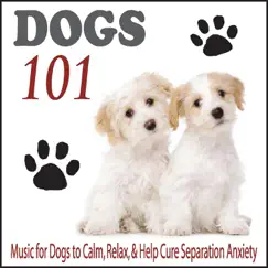 Pet Reflections (Music for Dogs 101) Song Lyrics