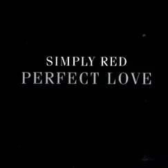 Perfect Love (Motivo Hi - Lectro Mix) Song Lyrics