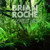 Brian Roche Greatest Hits album lyrics, reviews, download