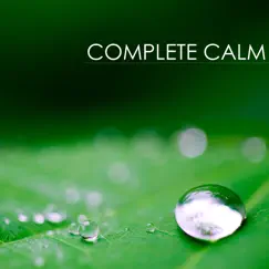 Complete Calm: Extremely Calming & Relaxing Piano Music for Relaxation Meditation and Stress Relief by Calm Music Ensemble album reviews, ratings, credits