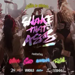 Shake That Ass Song Lyrics