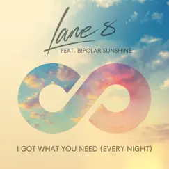 I Got What You Need (Every Night) [feat. Bipolar Sunshine] [Radio Edit] Song Lyrics