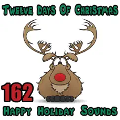 Twelve Days of Christmas - 162 Happy Holiday Sounds by Pro Sound Effects Library album reviews, ratings, credits