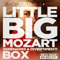 Little Big Mozart Serenades & Divertimenti Box by Various Artists album reviews, ratings, credits